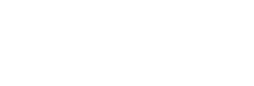 logo sindu
